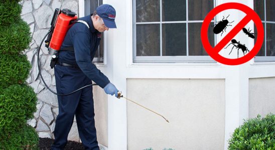 Akyaka Akrep İlaçlama böcek ilaçlama ve haşere kontrolü — ilaclama-tr.com